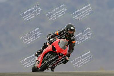 media/Jan-15-2023-SoCal Trackdays (Sun) [[c1237a034a]]/Turn 9 (2pm)/